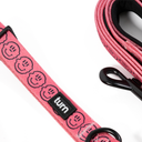 dog walk essentials set